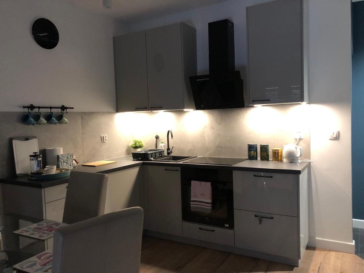 Przytulny Apartament Na Nowej Διαμέρισμα Ζιελόνα Γκόρα Εξωτερικό φωτογραφία
